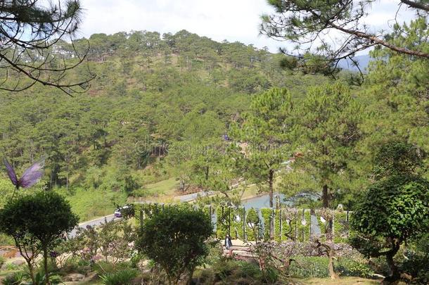 陆地花山谷爱背景