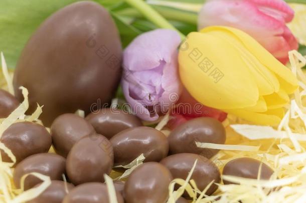 春季和复活节颜色和巧克力卵和郁金香