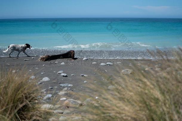 多石头的海滩和海和蓝色天超过同样地风景优美的背景image形象