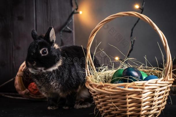 复活节假日:一小的bl一ck复活节兔子一nd一柳条b一sket