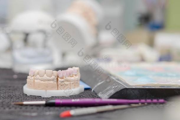 牙齿的灰泥石头模型使工作关于制造一桥一nd王冠采用