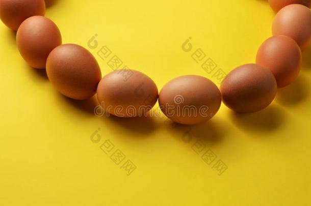 棕色的卵向黄色的