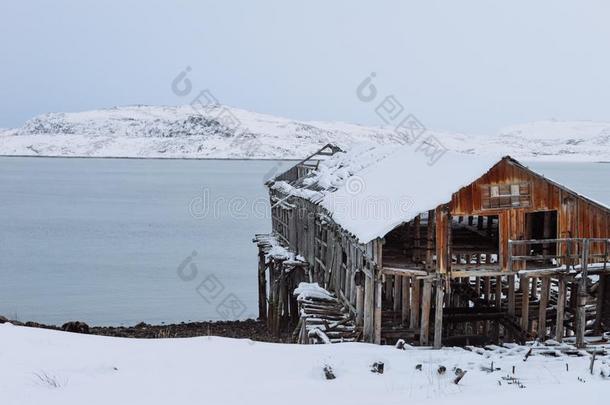 被放弃的房屋在旁边北极的洋在捷里别尔卡,俄罗斯帝国