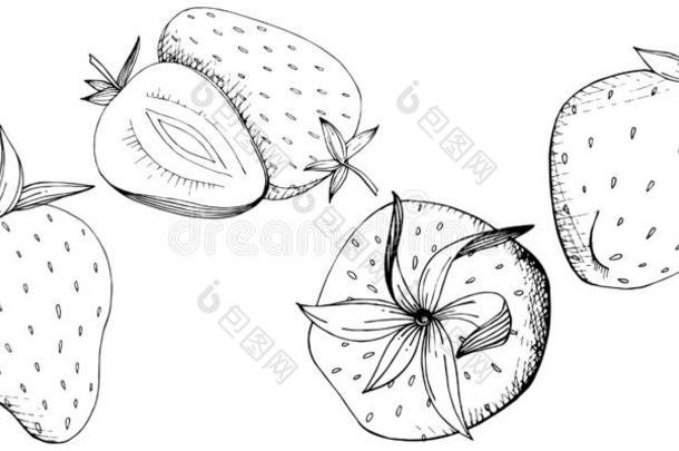 矢量草莓健康的食物.黑的和白色的在上雕刻墨水艺术