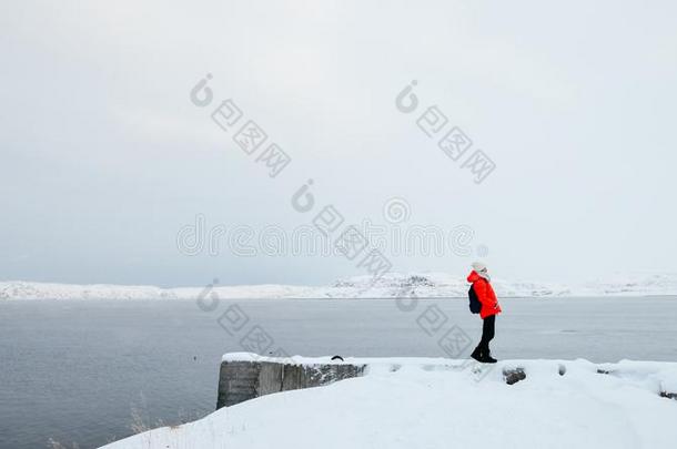单一的年幼的女人起立在旁边北极的洋