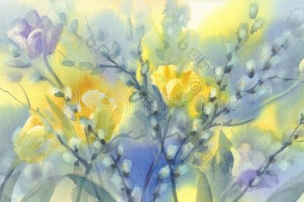 黄色的郁金香和猫咪柳树水彩背景