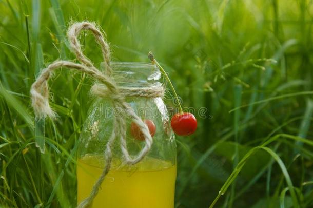 一瓶子关于自家制的柠檬汽水果汁谎言向指已提到的人草在户外.