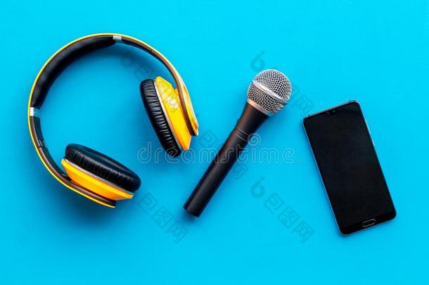 扩音器,耳机,可移动的为博客,新闻工作者或音乐人
