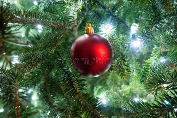 生存<strong>圣诞</strong>节树装饰为在假日