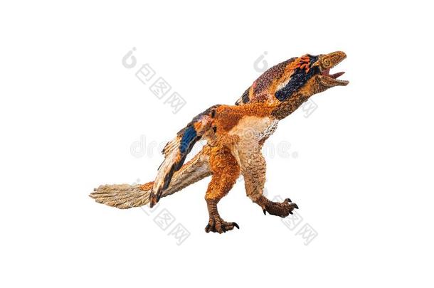 始祖鸟,恐龙向白色的背景
