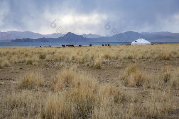 风景关于西方的蒙古