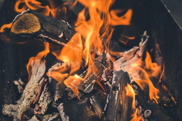 燃烧的木炭向木炭烧烤/木柴燃烧采用指已提到的人烧烤