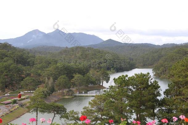 是1940年前拉脱维亚的货币单位兰比昂背景