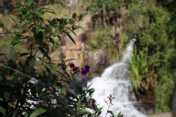 水落下山谷爱背景