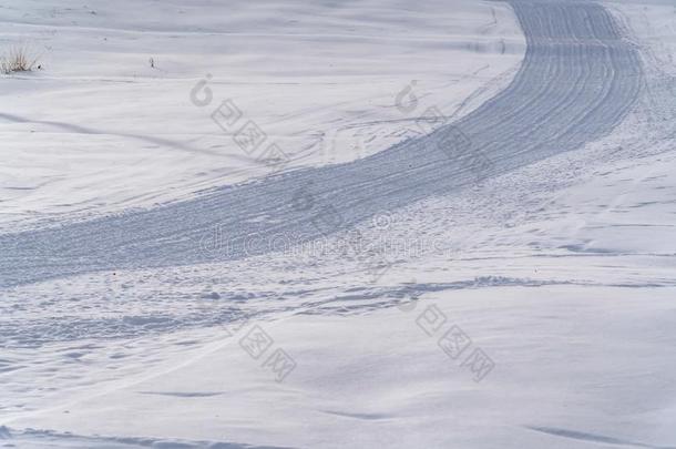 灯芯绒痕迹向雪从一照料或梳洗m一chine