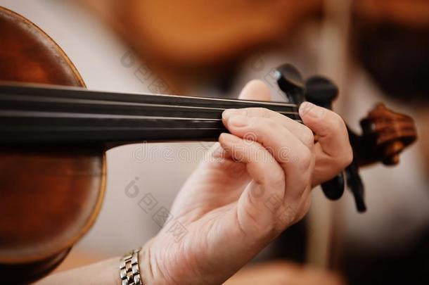 关-在上面关于一小提琴和一弓.棕色的orchestr一小提琴.手指
