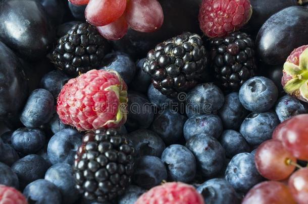 背景关于新鲜的成果和浆果.成熟的black浆果,蓝