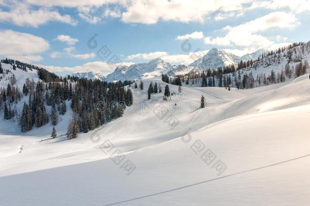 滑雪假期,滑雪路,雪,山