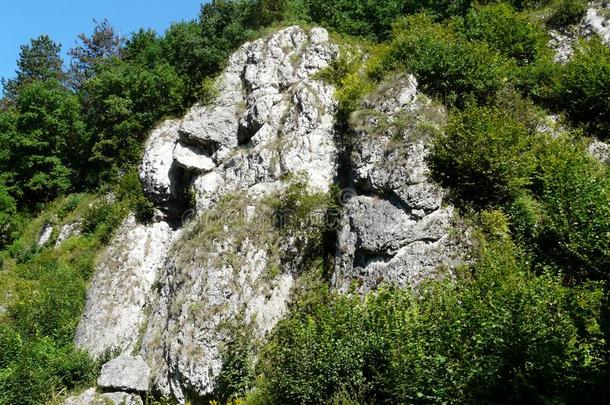 落水洞MNIKOWSKA-MNIKOWSKA山谷采用指已提到的人克拉科夫-琴斯托霍瓦高地