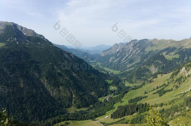 田园诗般的夏风景和徒步旅行跟踪采用指已提到的人alkali-treatedlipopolysaccharide碱处理的脂多糖和喜