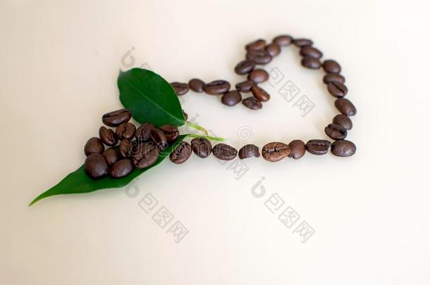 咖啡豆豆和叶子采用指已提到的人形状关于一he一rt向光b一ckgrou