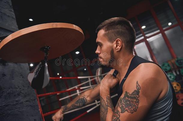新的冠军.关-在上面关于肌肉的<strong>刺青</strong>拳击手采用有关运动的凝结