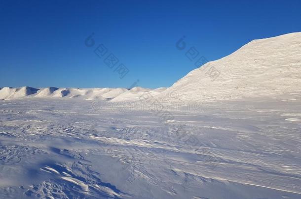 <strong>照片</strong>关于雪-<strong>大量</strong>的冻土带,俄罗斯帝国,Gydansky半岛