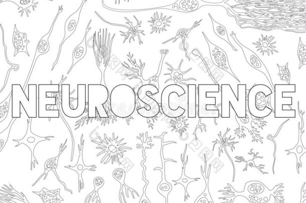 神经系统科学心不在焉地乱写乱画关于不同的脑细胞类型
