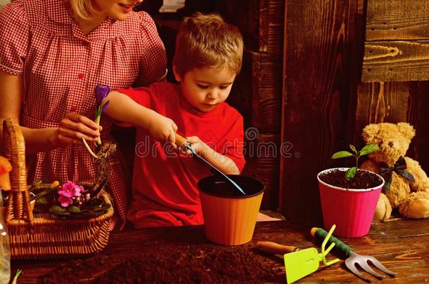 花盆观念.小的男孩放泥土采用花盆.小孩植物