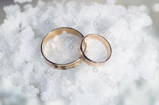 两个婚礼戒指关于红色的金为指已提到的人婚礼关于两个爱好者