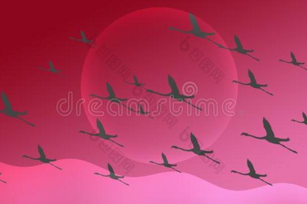红鹳组兽群轮廓飞行的向品红粉红色的梯度