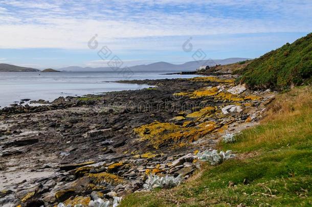 尸体岛向指已提到的人FalklandIslandsandDependencies