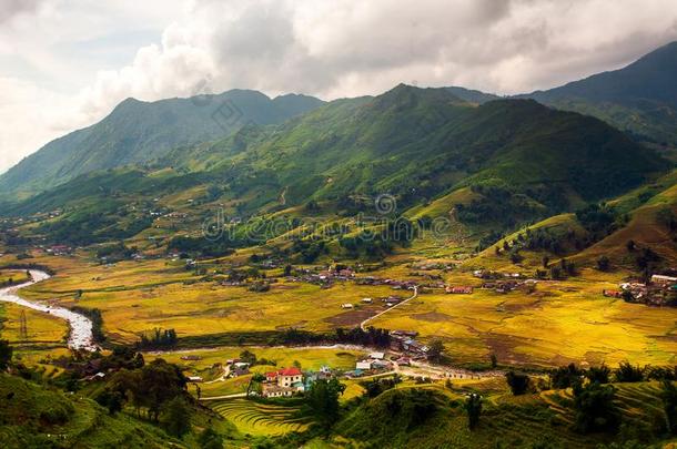 绿色的稻田向台地的采用Muchangchai,越南稻田