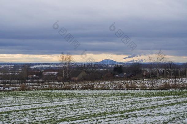 冬乡下的风景和绿色的雪大量的田在日落.