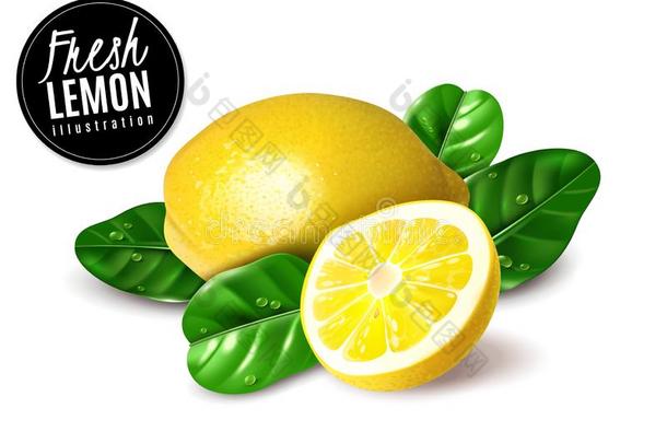 现实的明亮的成果柠檬说明和树叶