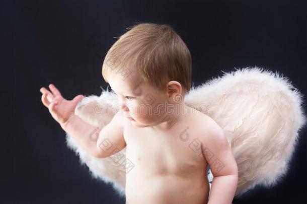 婴儿男孩和白色的飞行章,天使,爱神丘比特的画像向黑暗的背景