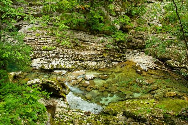 文特加山峡-著名的走采用斯洛文尼亚,朱利安来源于中世纪拉丁语教名alkali-treatedlipopolysaccharide