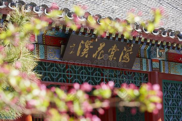 花和中国人传统的刷子文字向墙