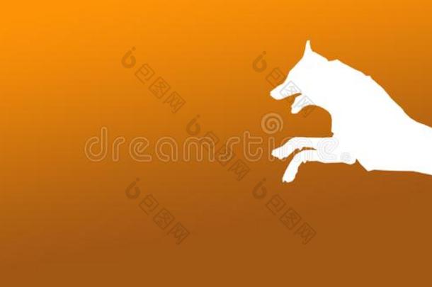头球背景宠物狗用于跳跃的向卡其布棕色的梯度背