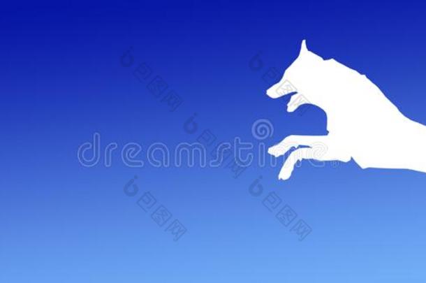头球背景宠物狗用于跳跃的向蓝色梯度背景