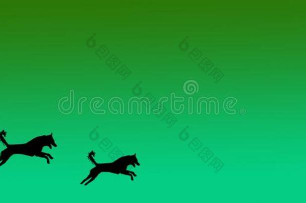 头球背景宠物公狗模式向绿色的梯度背景