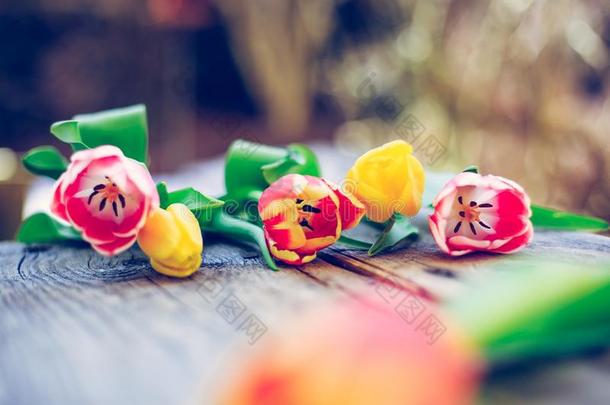 安排关于富有色彩的春季花采用指已提到的人自己的事物花园模糊的