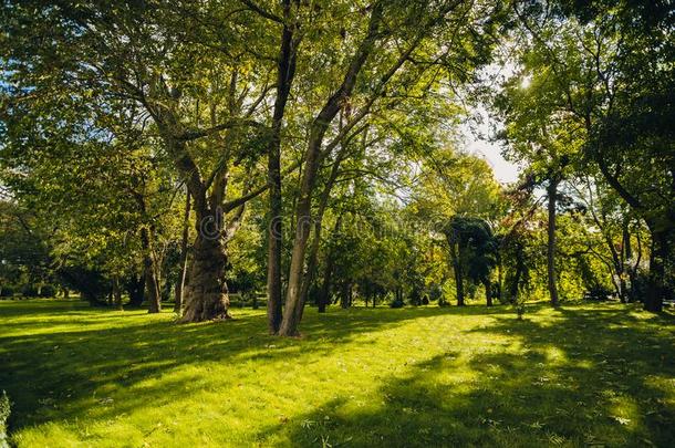 美丽的公园地点采用公众的公园和绿色的草田,同意