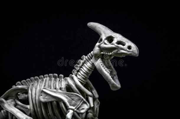 龙栉龙恐龙骨架模型