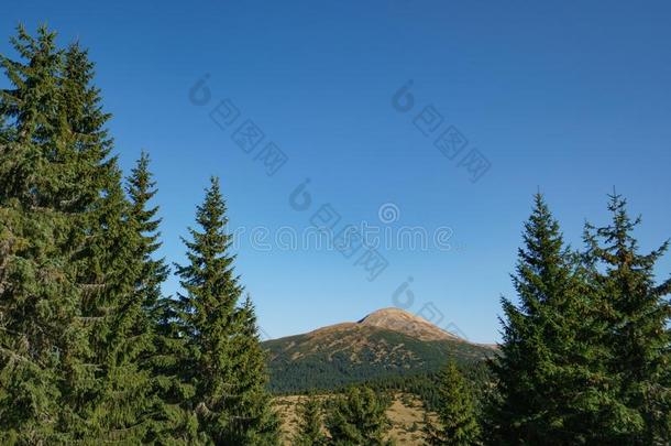 风景关于登上哈弗拉是（be的三单形式指已提到的人最高的山关于指已提到的人乌克兰