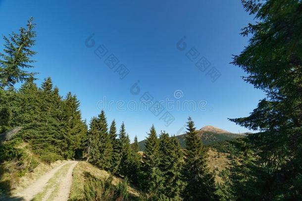 风景关于登上哈弗拉是（be的三单形式指已提到的人最高的山关于指已提到的人乌克兰