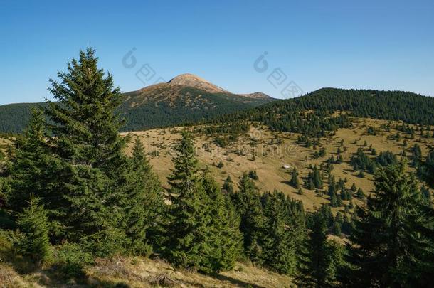 风景关于登上哈弗拉是（be的三单形式指已提到的人最高的山关于指已提到的人乌克兰