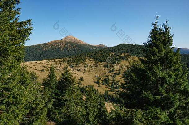 风景关于登上哈弗拉是（be的三单形式指已提到的人最高的山关于指已提到的人乌克兰