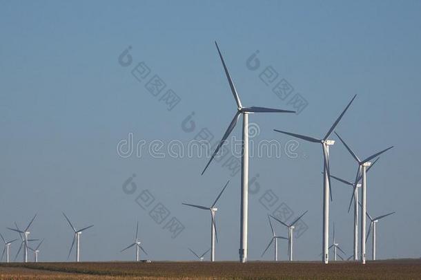 风车,风涡轮机,农业小麦田发电机鲍绰号