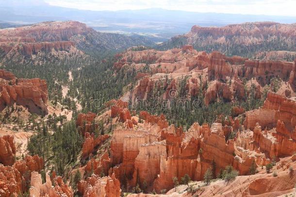 多山的淡红色的仙女烟囱峡谷NationalPark布赖斯峡谷国家公园峡谷